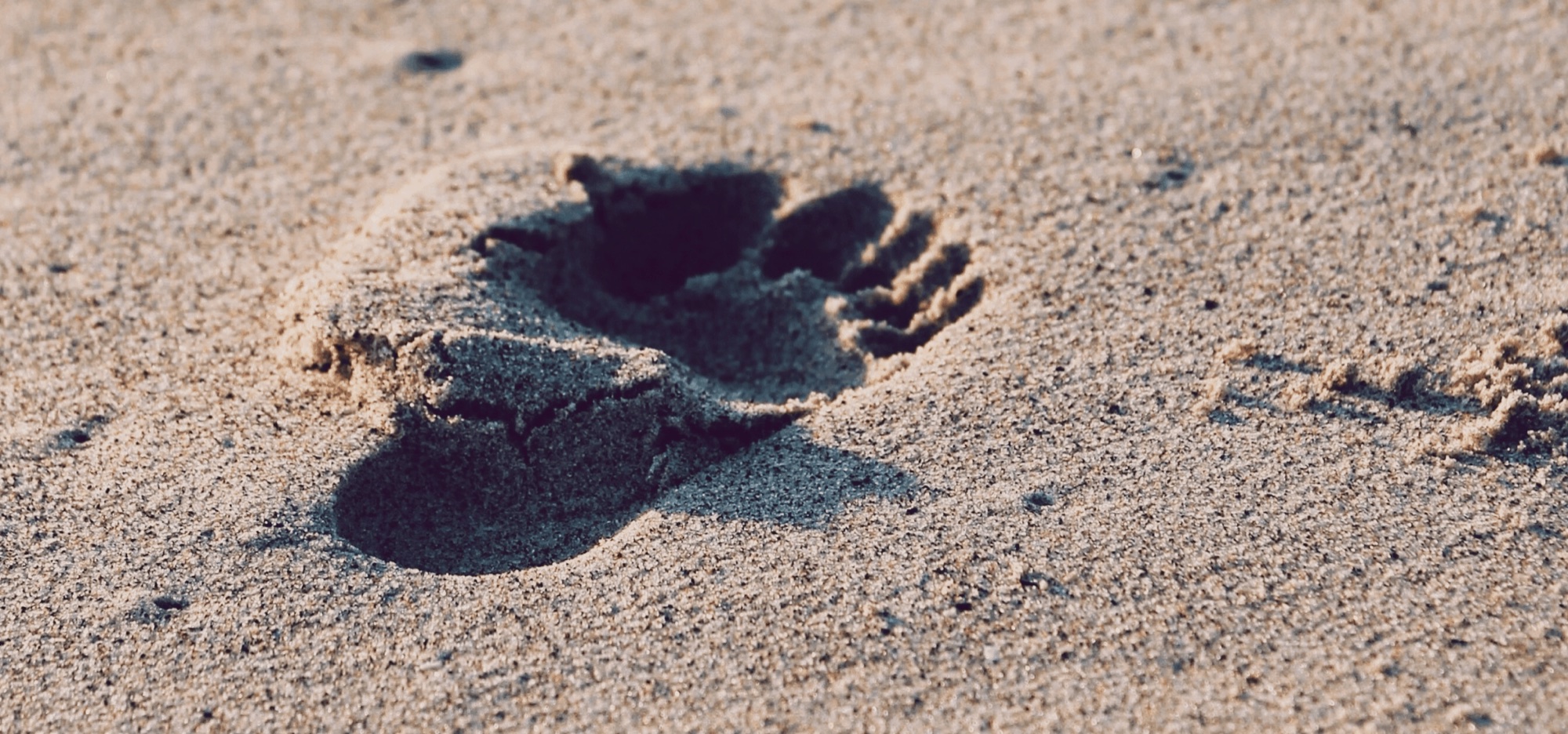 A single bare footprint pressed into sand